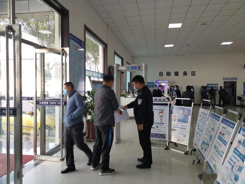 标京通北京车牌代办全流程解析：老司机教你避开这7大坑